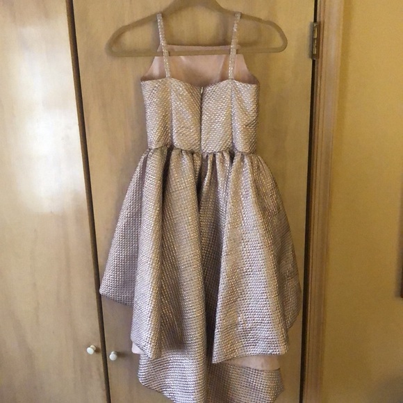 Gorgeous custom high low dress. Blush pink a little iridescent. - Picture 2 of 5